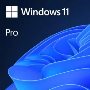 Microsoft Windows 11 Pro License